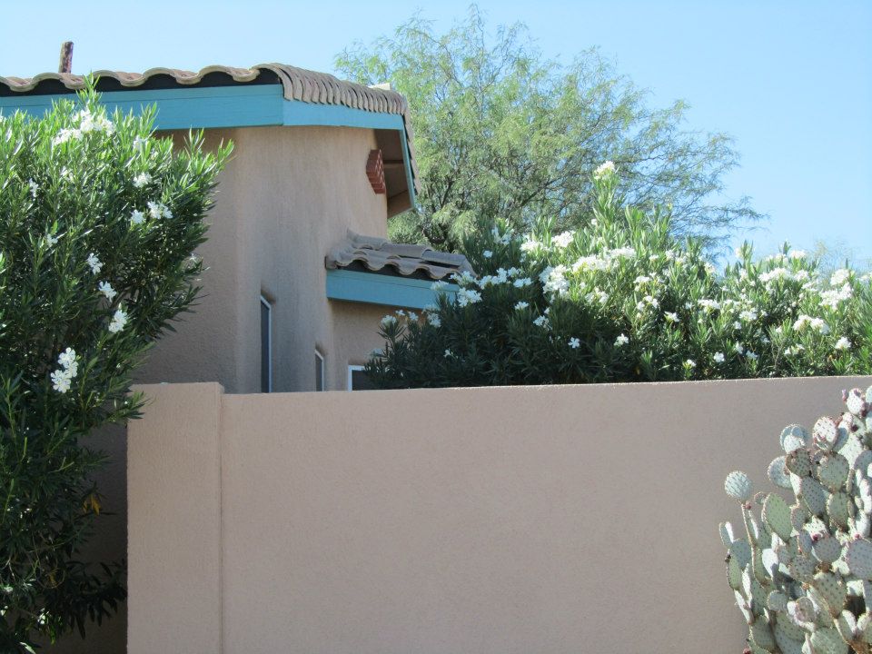 Landscaping Services Image 1